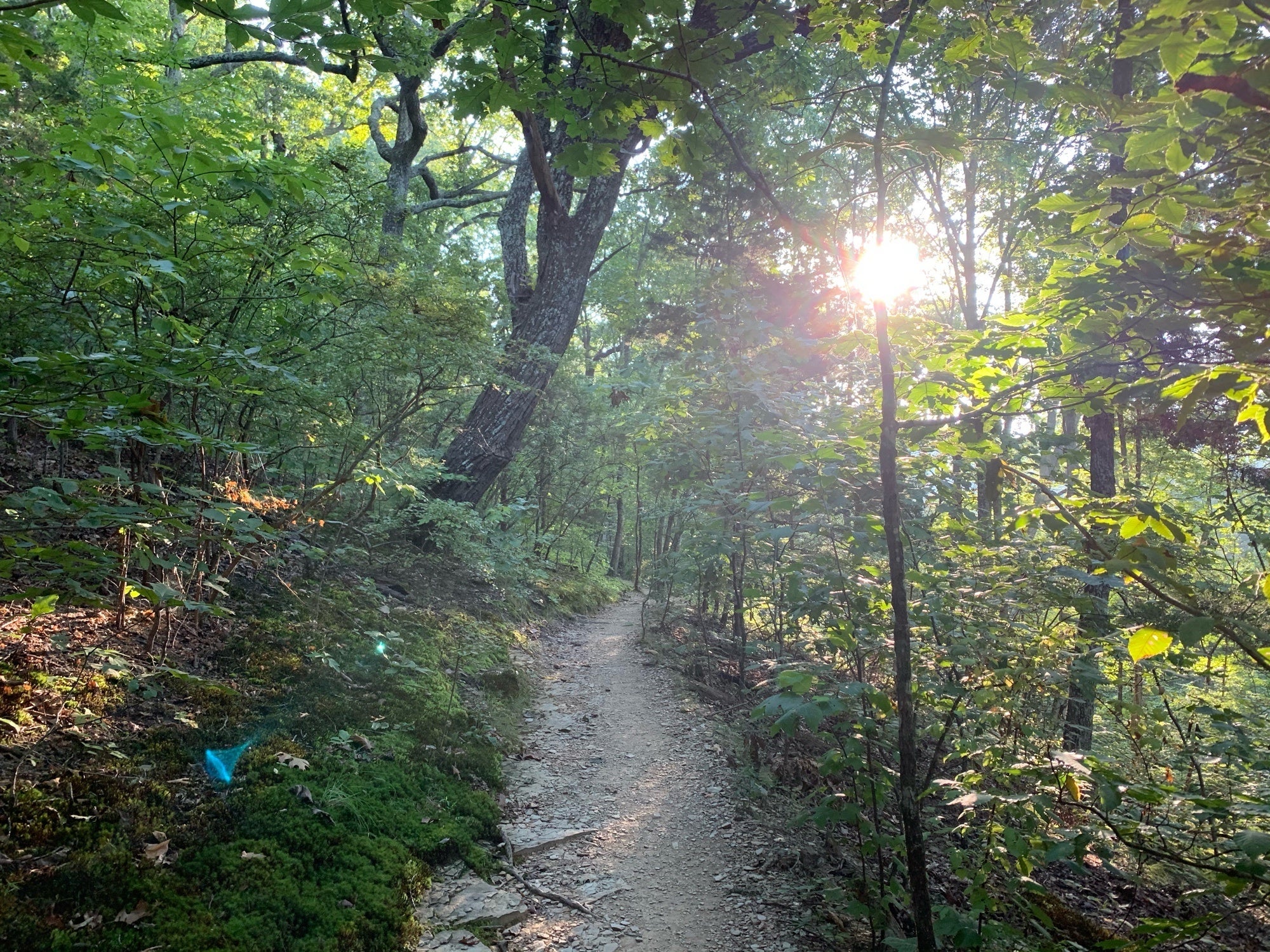 Deep Well Trailhead, Nashville, TN, Landmark - MapQuest