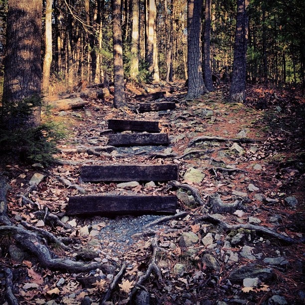 Michaux State Forest, 10099 Lincoln Way E, Greene Twp, PA MapQuest