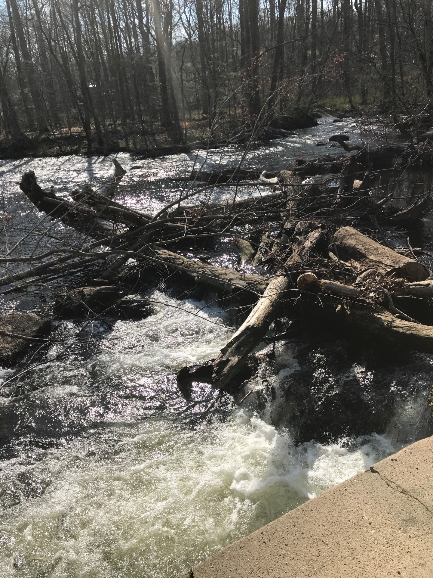 Califon Island Park, Bank St, Califon, NJ MapQuest