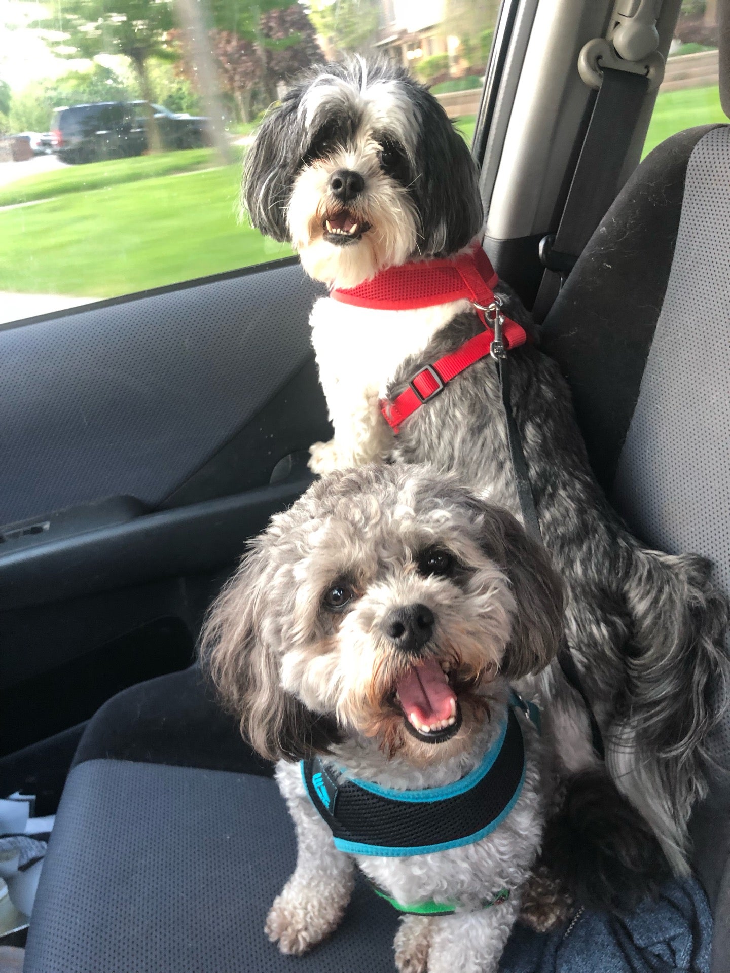 Ellsworth Liquor Shoppe, 2385 E Ellsworth Rd, Ann Arbor, MI