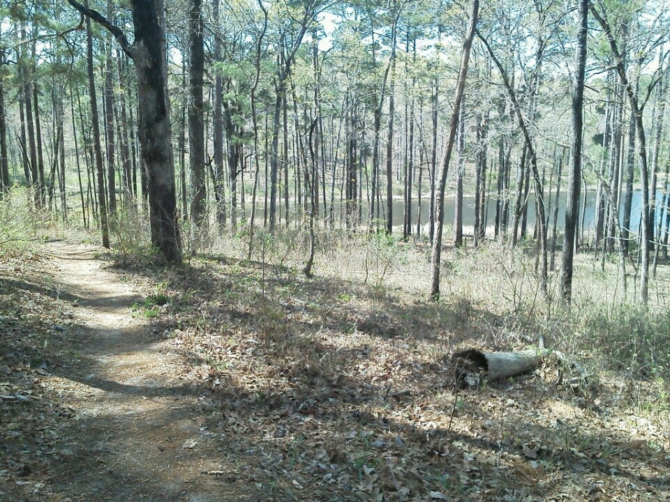 Cotile Lake Recreation Area, Boyce, LA MapQuest