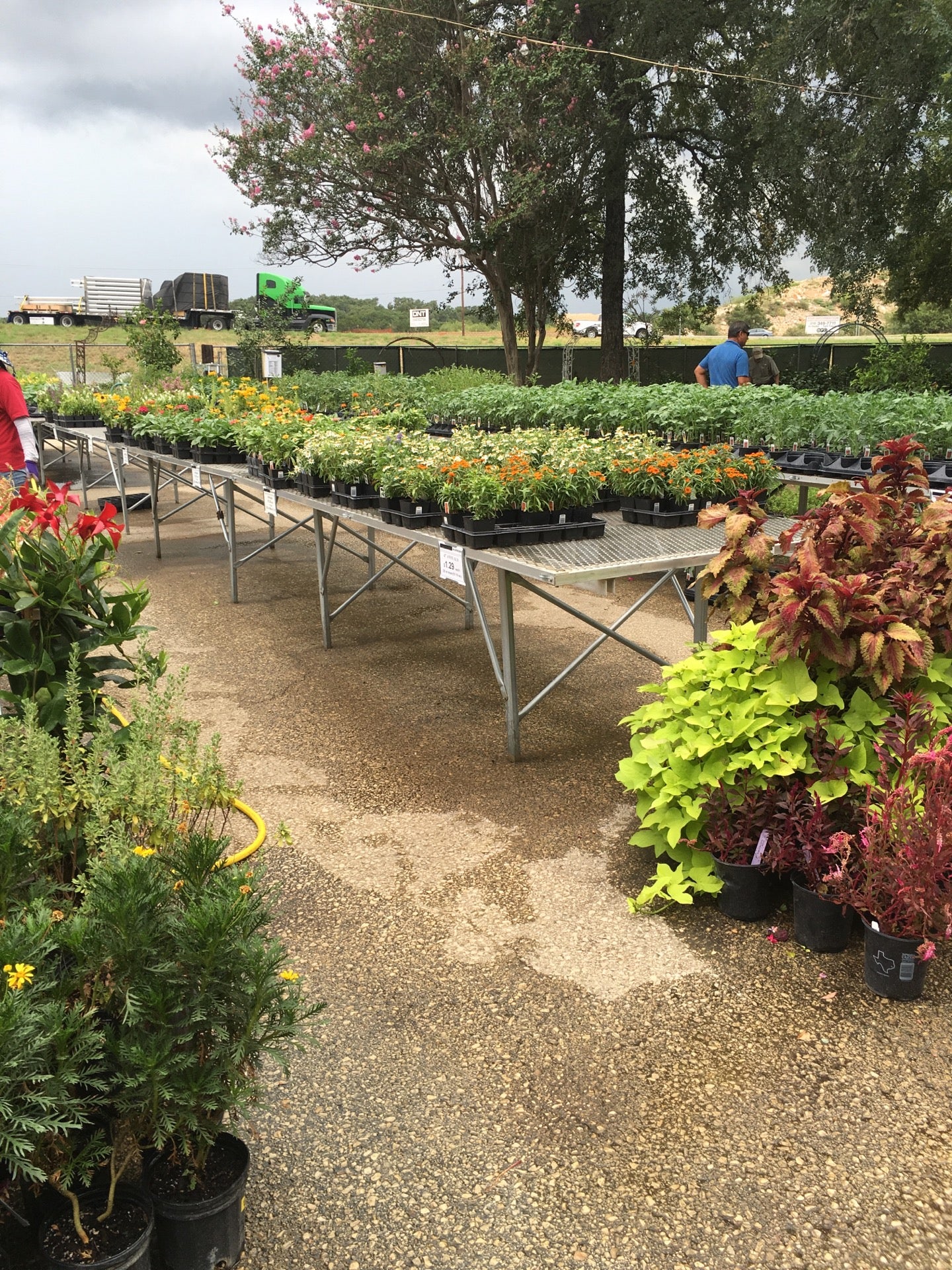 Milberger's Landscaping And Nursery Retail, 3920 N Loop 1604 E, San