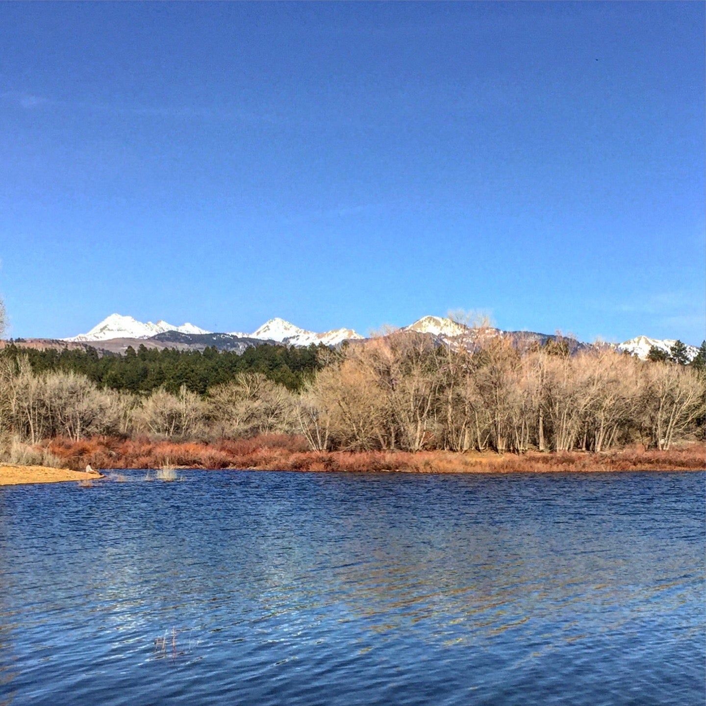 Mancos State Park, County Road 41.9, Mancos, CO, Parks - MapQuest