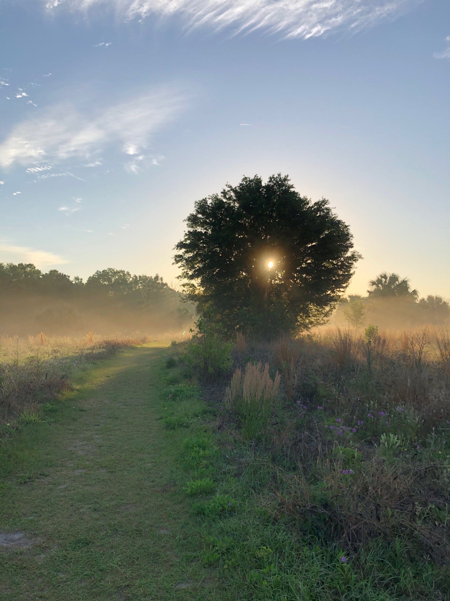 PEAR Park, Leesburg, FL, Parks MapQuest