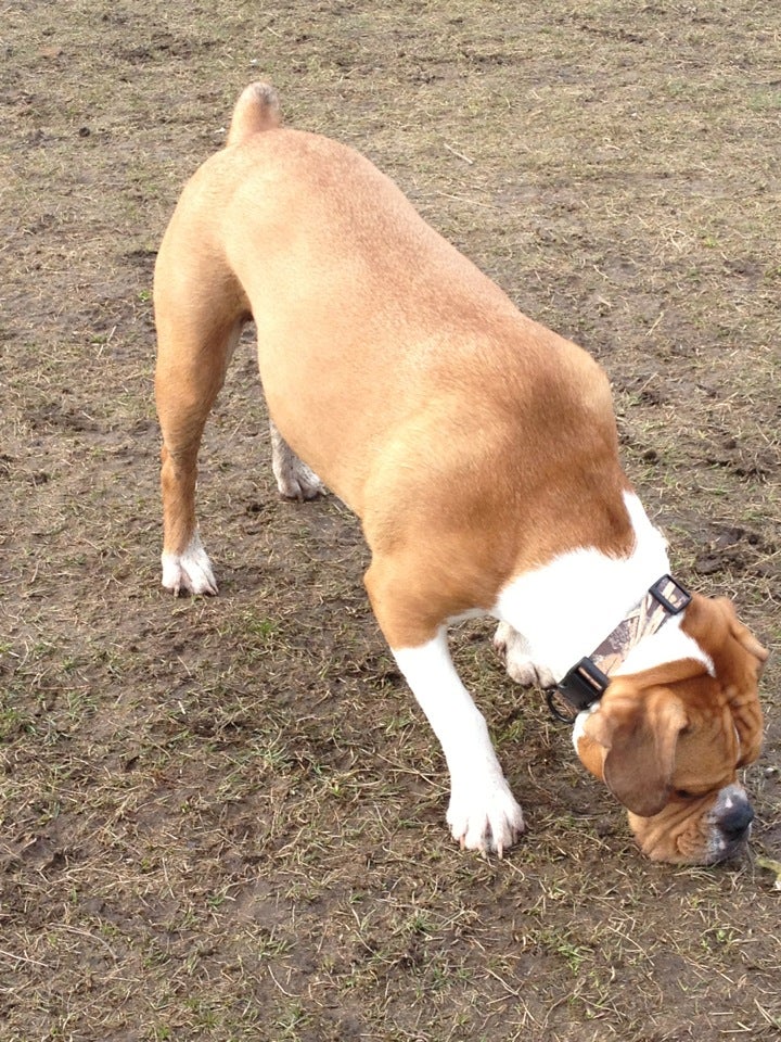 West Chazy, NY Map & Directions MapQuest