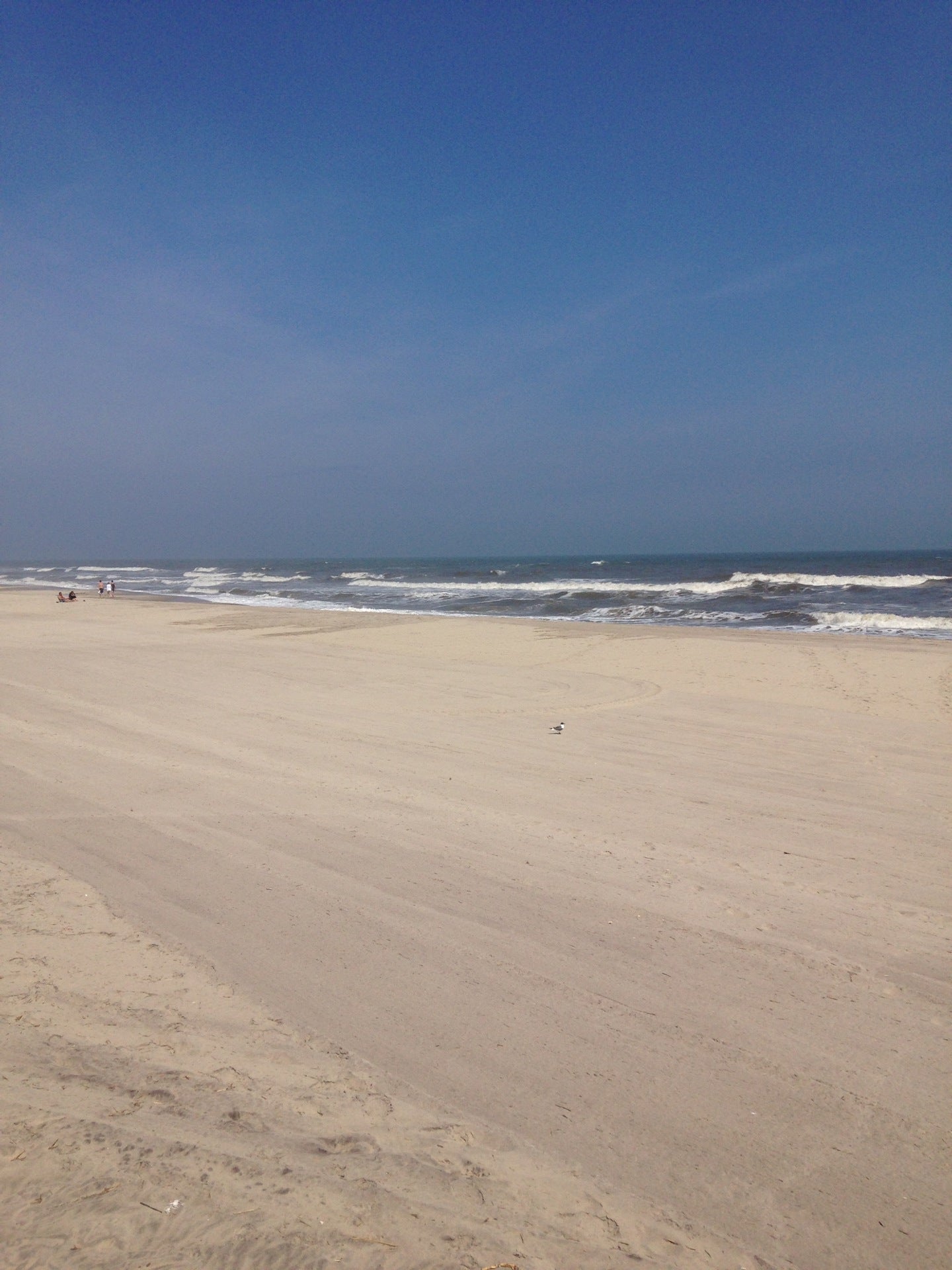 Ventnor, NJ Map & Directions MapQuest