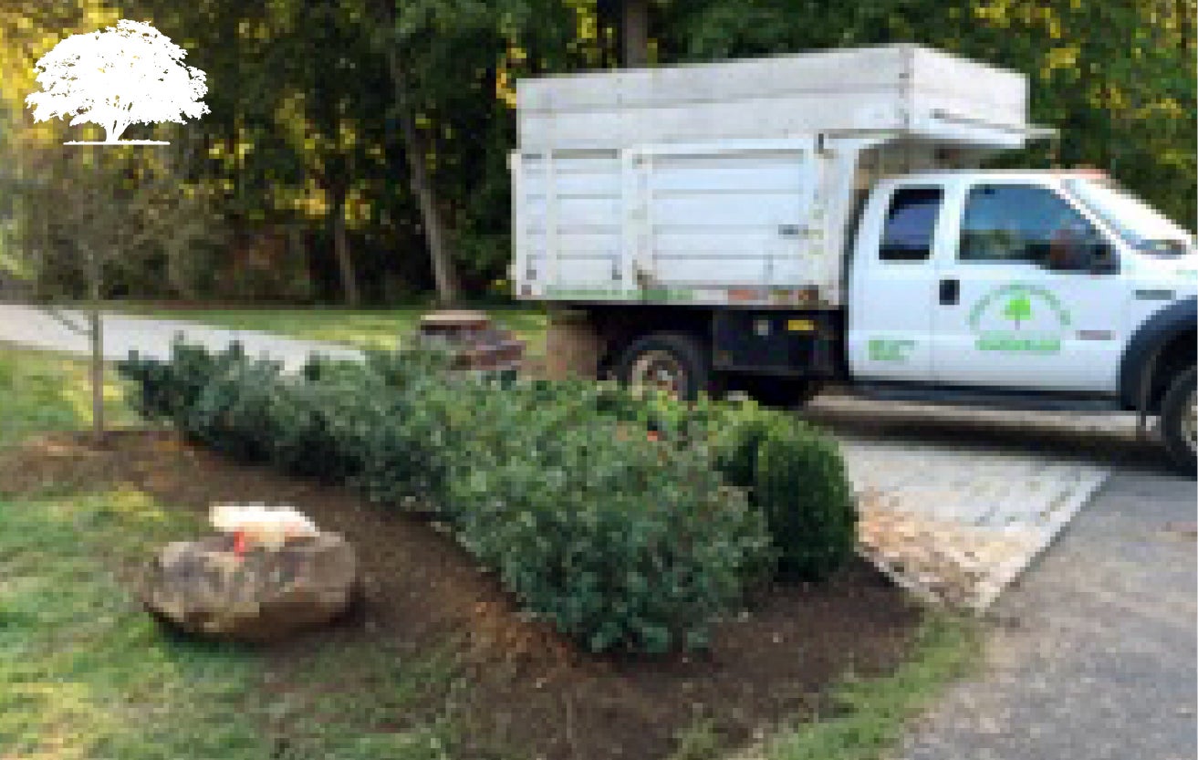 Zuniga Landscaping, 1043 Swede St, Norristown, PA, Builders