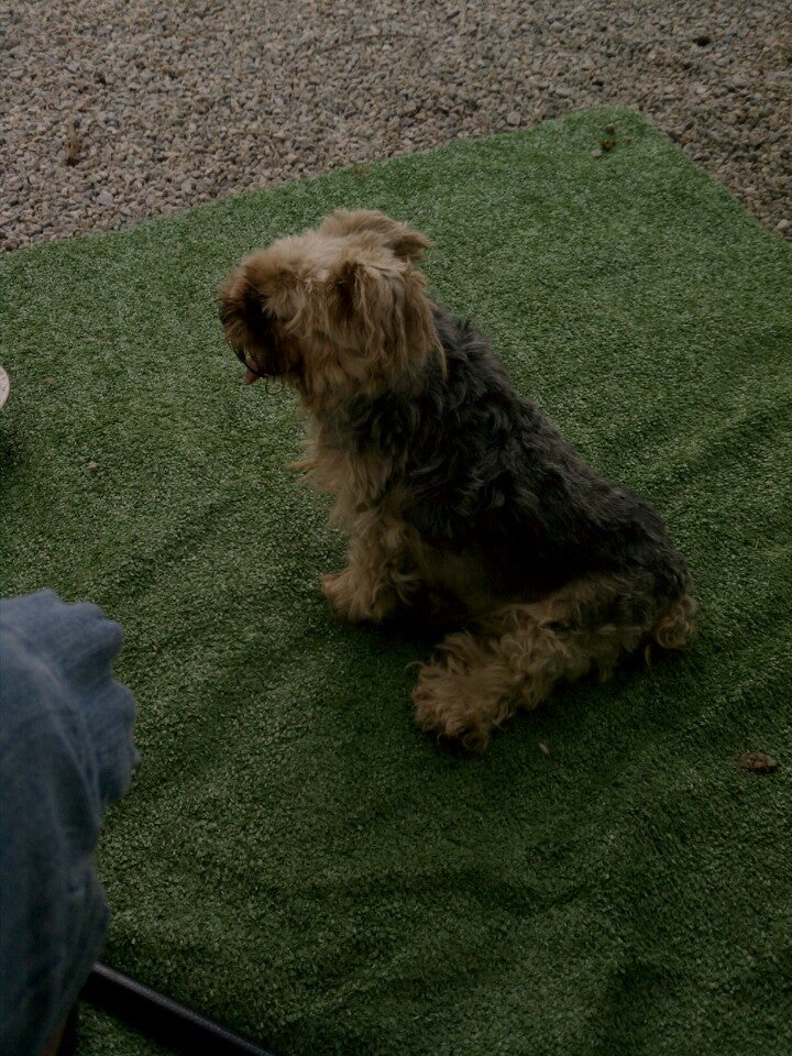 Hibernia State Campground, Hibernia Rd, Henderson, NC MapQuest