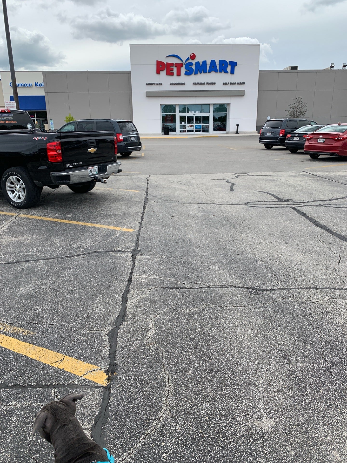 PetSmart  Green Bay WI