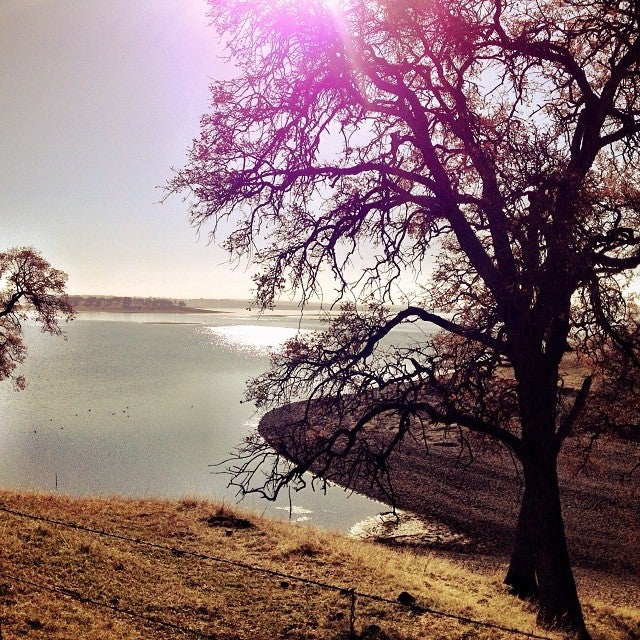 Lake Camanche North Shore, 2000 Camanche Rd, Ione, CA, Hotels & Motels
