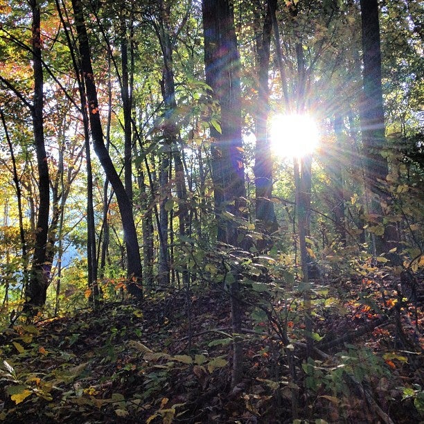 The Cove, 1 Porters Cove Rd, Asheville, NC, Spiritual Organizations