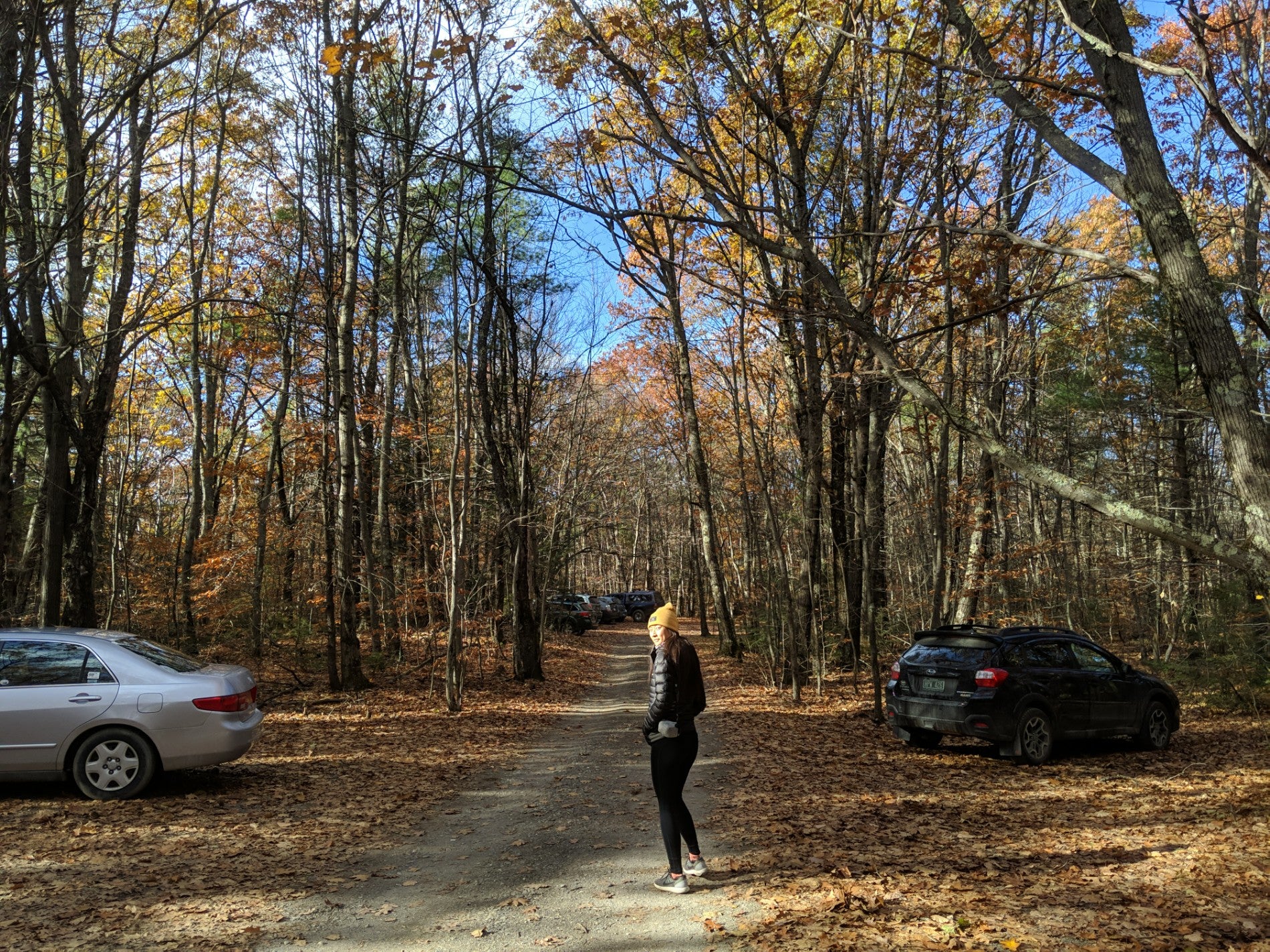 Putney Mountain, Putney, VT, Trail MapQuest