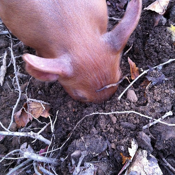 Southampton, PA Map & Directions MapQuest