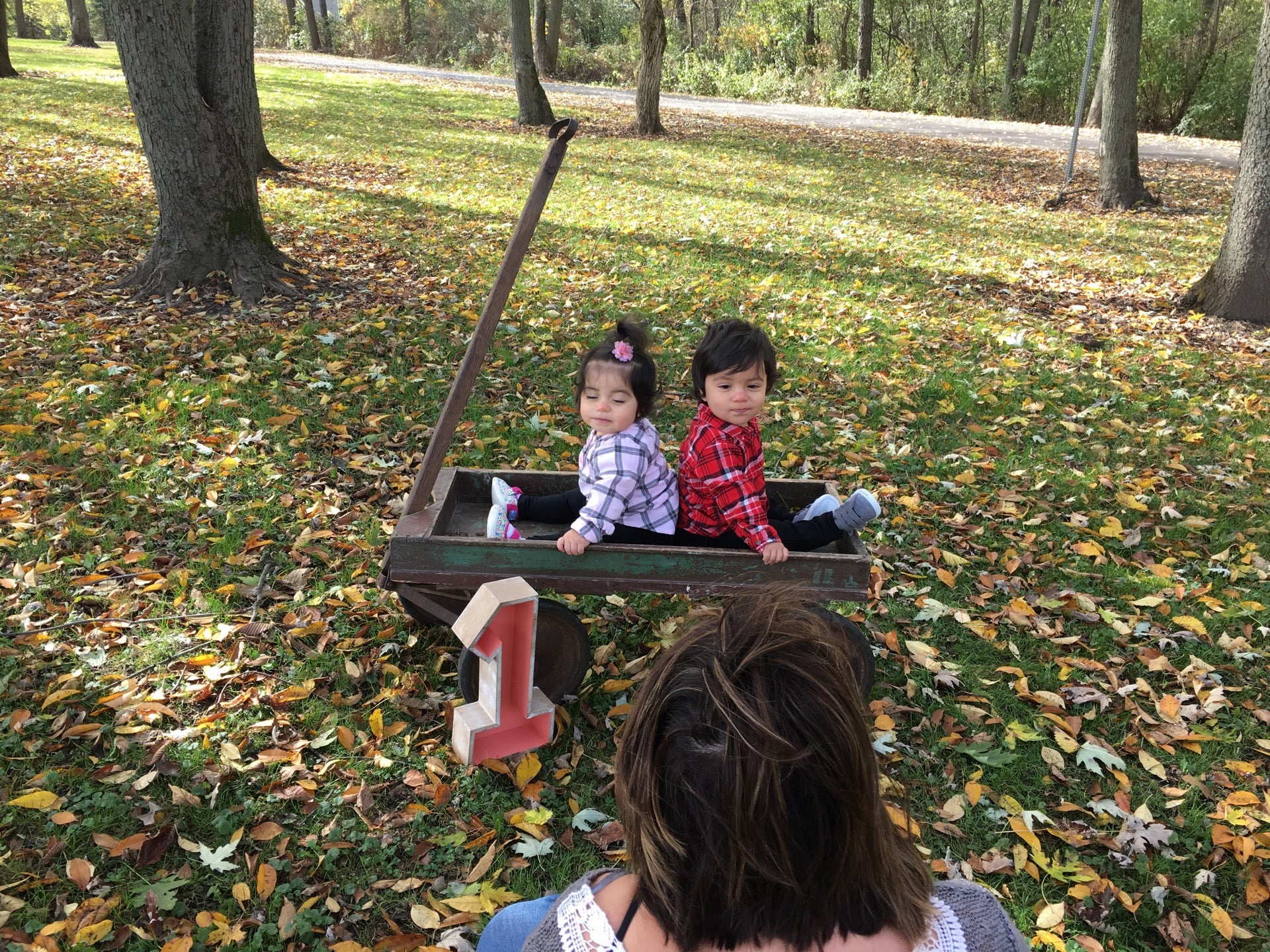 Spring Grove, IL Map & Directions - MapQuest