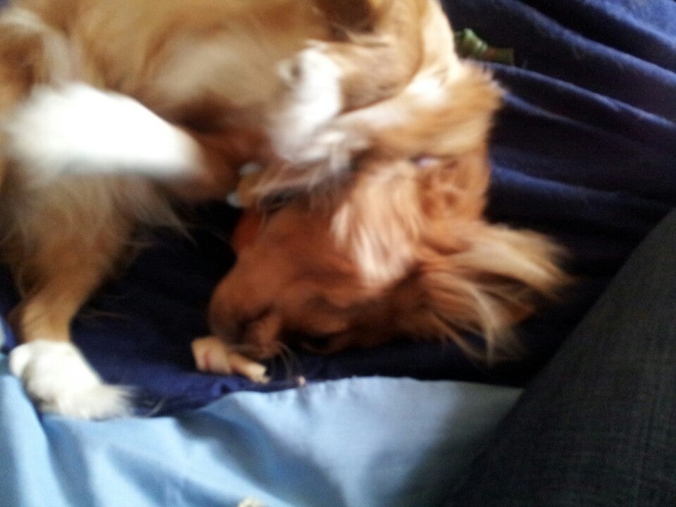 Chicopee Village Townhomes, 68 Eastern Dr, Chicopee, MA, Apartments