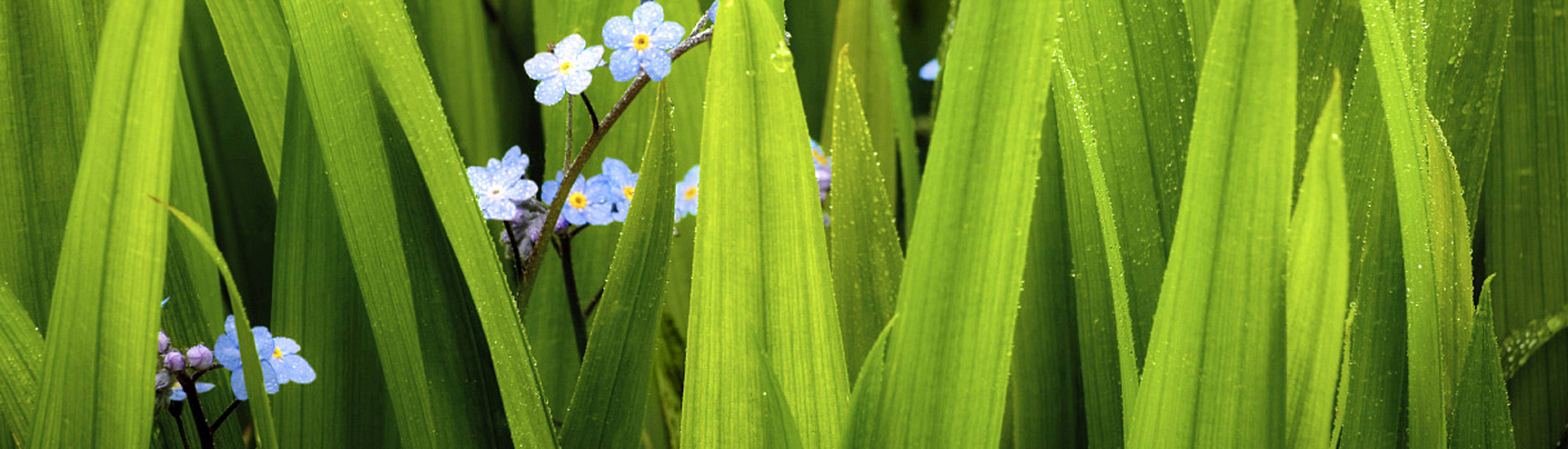 Jacksonville Obituaries Times Unionnotifications - 6mudxgm
