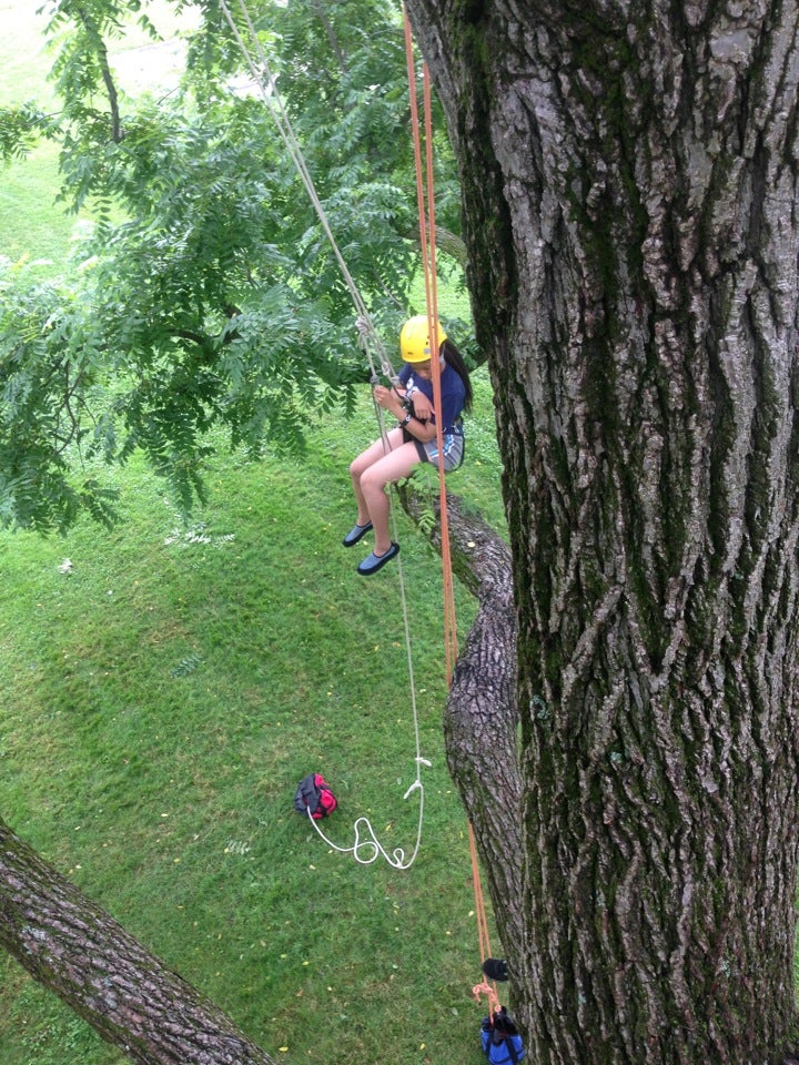Shaw Park, Sherman St, Williamsport, PA MapQuest