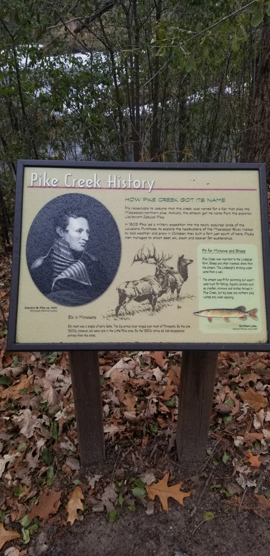 Little Falls, MN Map & Directions MapQuest