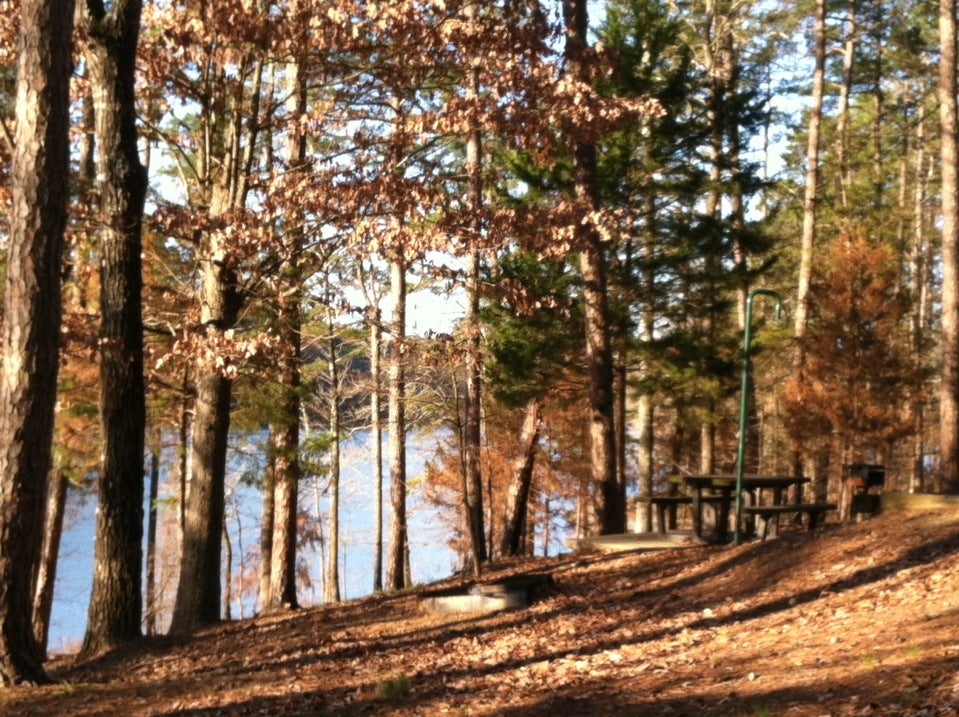 Shady Lake Recreation Area, AR, Parks MapQuest