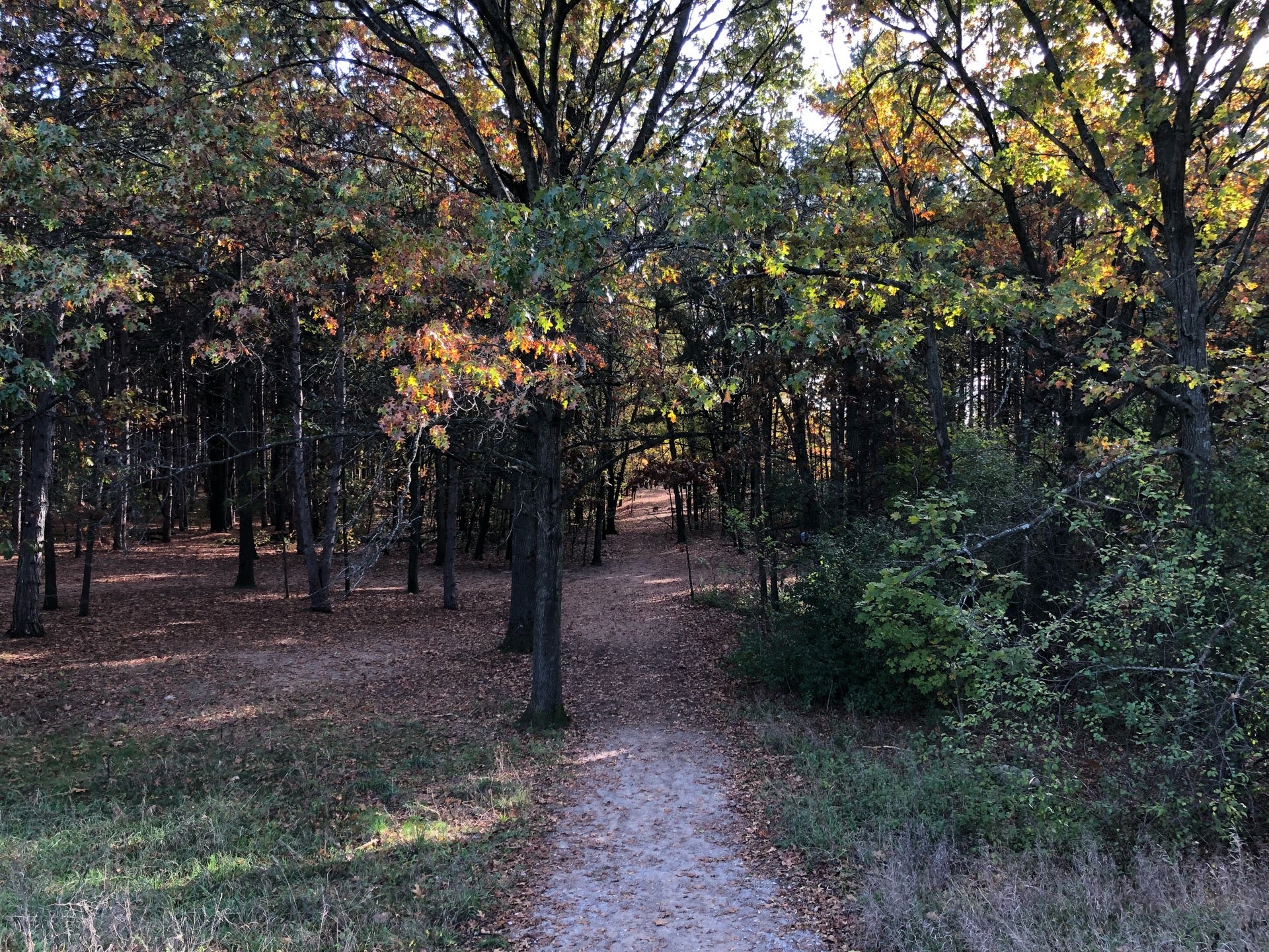 provin-trails-park-2900-4-mile-rd-ne-grand-rapids-twp-mi-parks