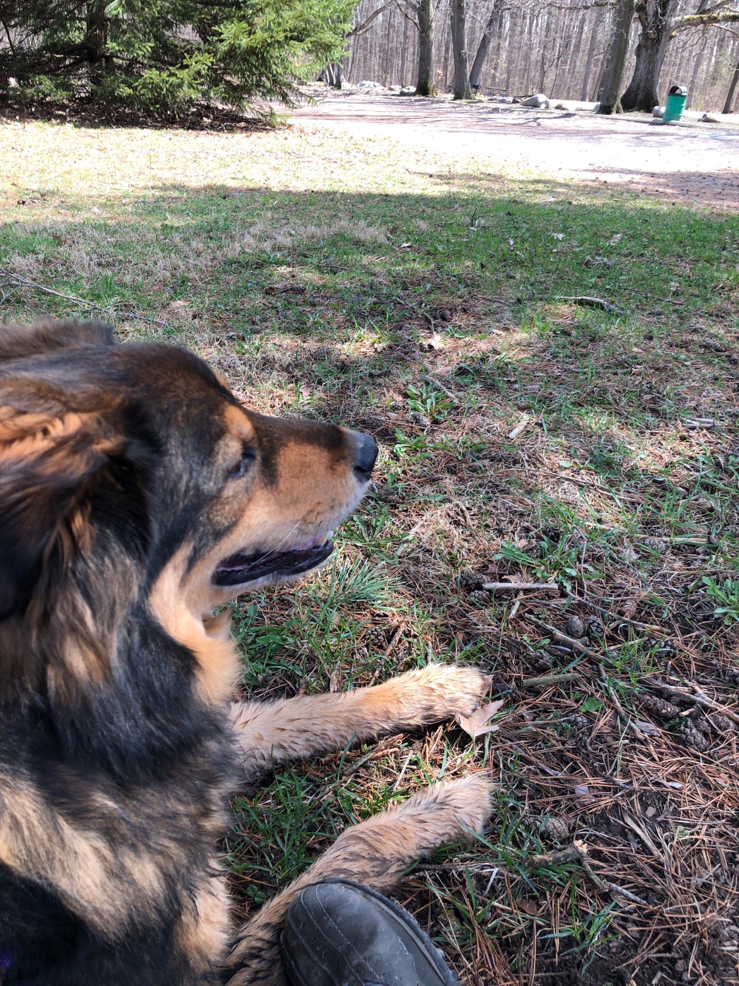 Flushing County Park, Flushing, MI, Parks MapQuest