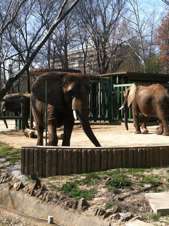 Memphis Zoo, 1954 Galloway Ave, Memphis, TN, Playgrounds - MapQuest