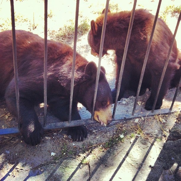 Popcorn Park Zoo, 1 Humane Way, Forked River, NJ, Zoos MapQuest