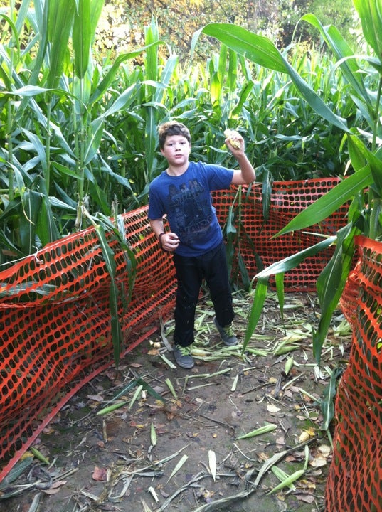 Godfrey, IL Map & Directions MapQuest