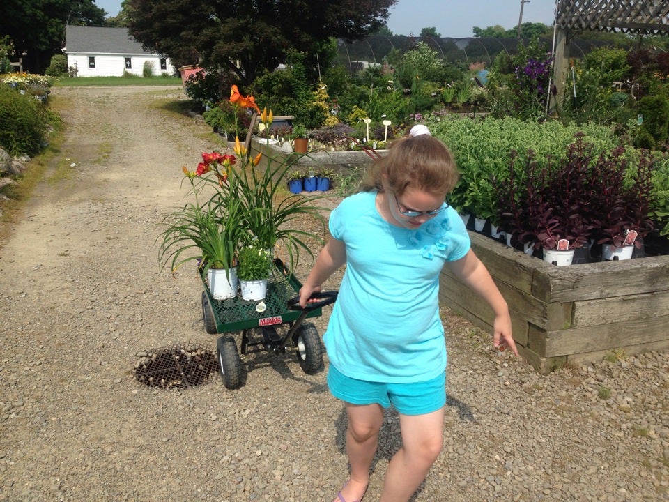 Stan's Garden Center, 5001 Buffalo Rd, Harborcreek Twp, PA, Hardware