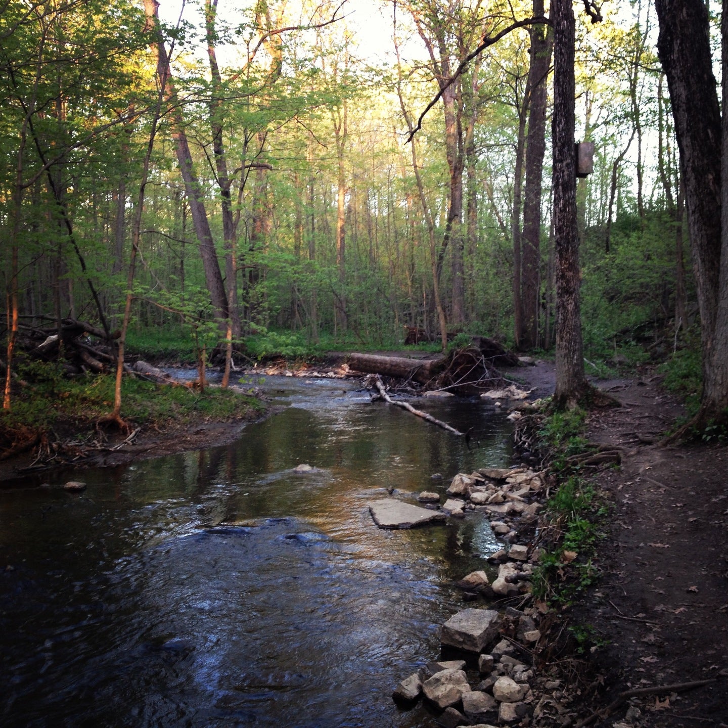 Sterr Park, [100 799] Pleasant Hill Ave, Lomira, WI, Parks MapQuest