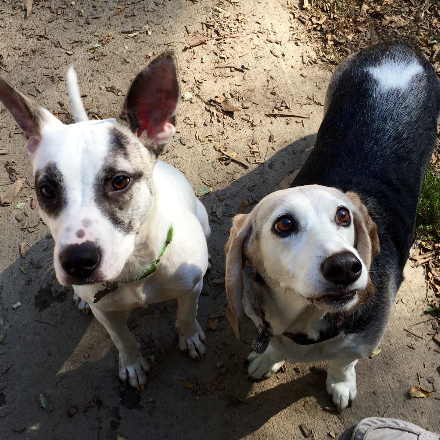 Morton, IL Map & Directions MapQuest