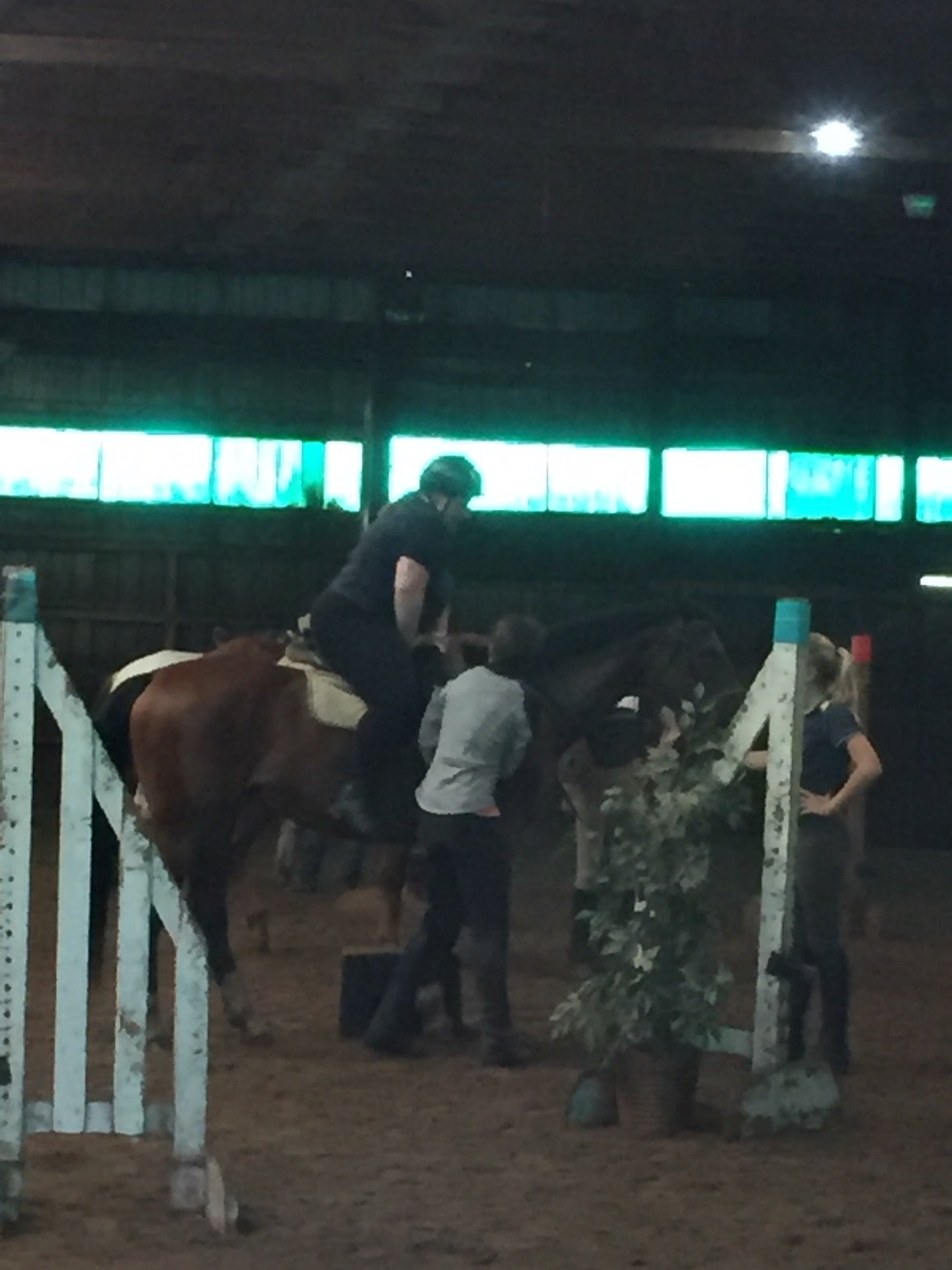 Creditview Stables Creditview Farms