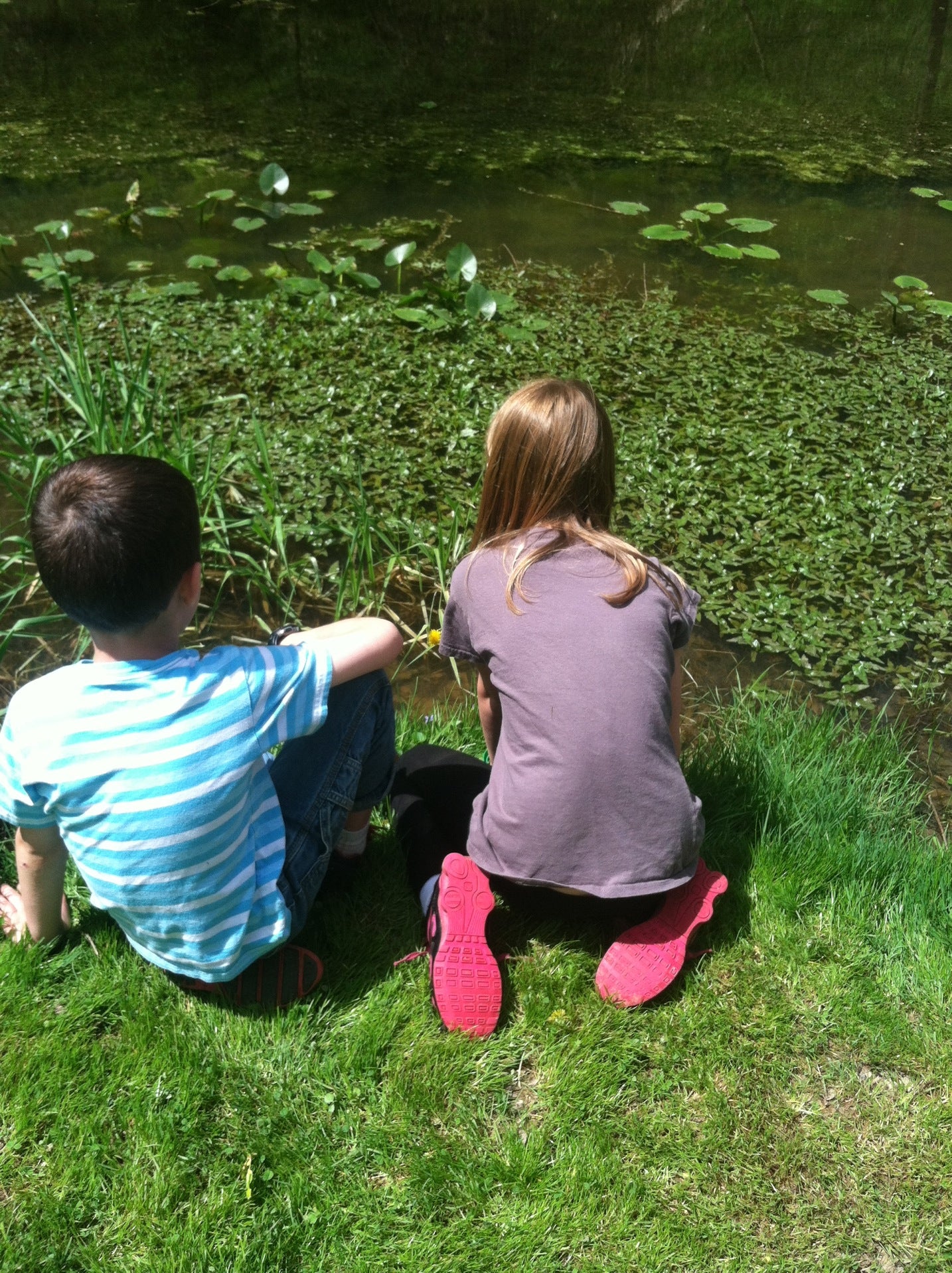 October Hills Camplot, 16310 County Road 23, Loudonville, OH MapQuest