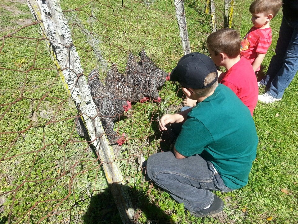 Archer, FL Map & Directions MapQuest