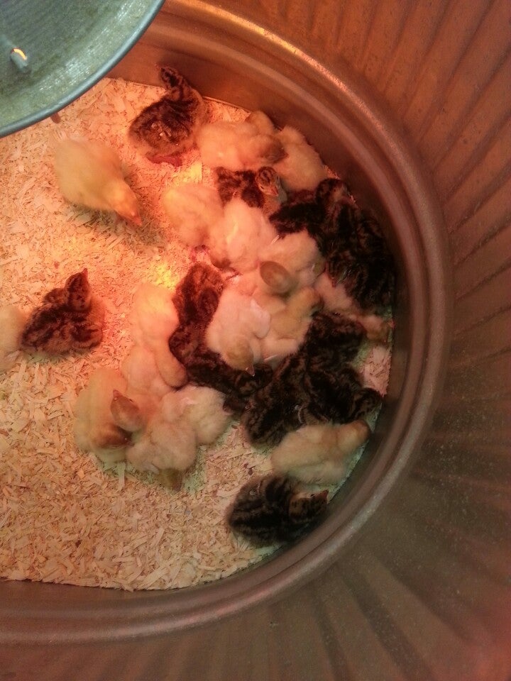 L&M Fleet Supply, 2740 Paul Bunyan Dr NW, Bemidji, MN, Sporting Goods