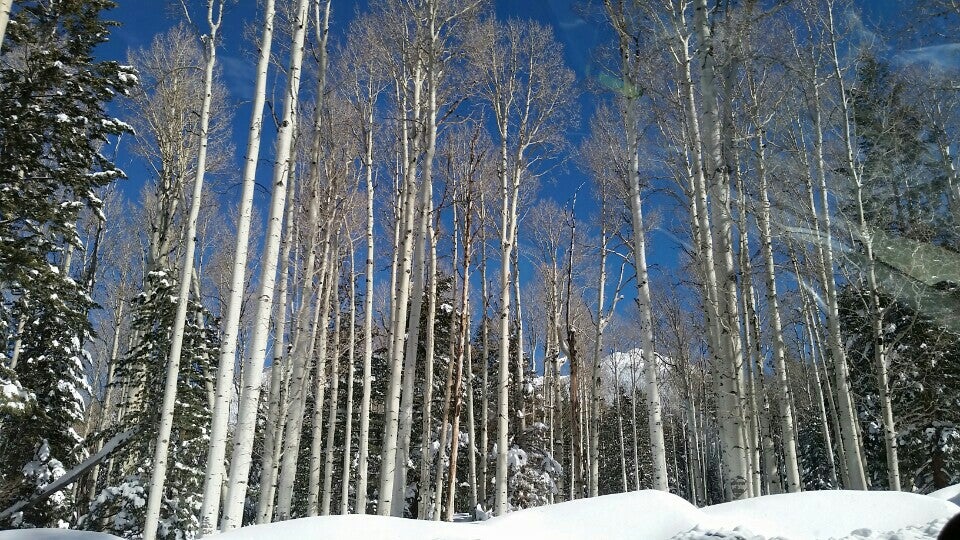 Aspen Corner, Flagstaff, AZ, Trail MapQuest