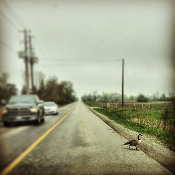 Al Falah Islamic Centre