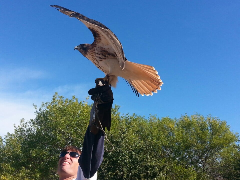 Blackland Prairie Raptor Center, 1625 Brockdale Park, Lucas, TX - MapQuest