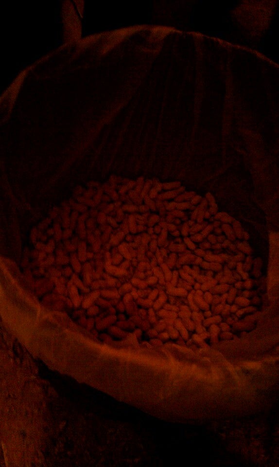 Jim Bob's Steaks & Ribs, 3129 E Hammons Blvd, Joplin, MO MapQuest