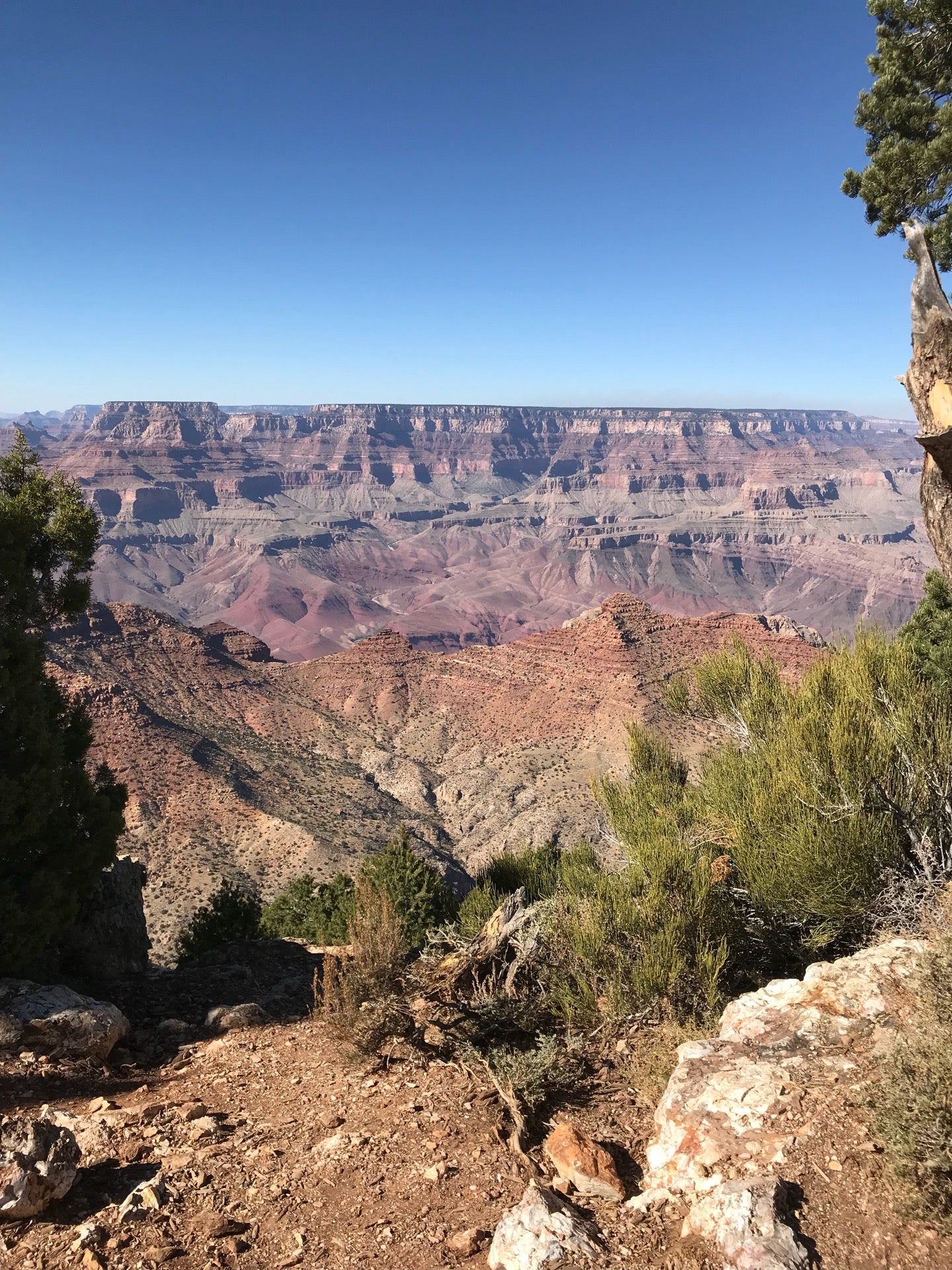 Sedona Pines Bistro, 6701 W State Route 89A, Sedona, AZ MapQuest