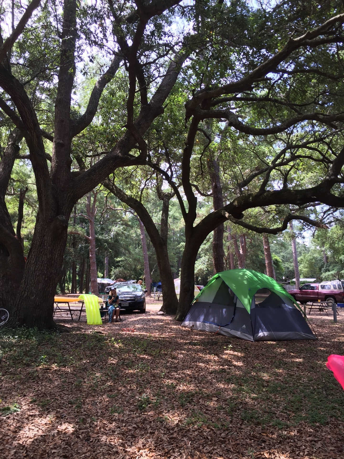 Dauphin Island Park & Beach Board, 109 Bienville Blvd, Dauphin Island