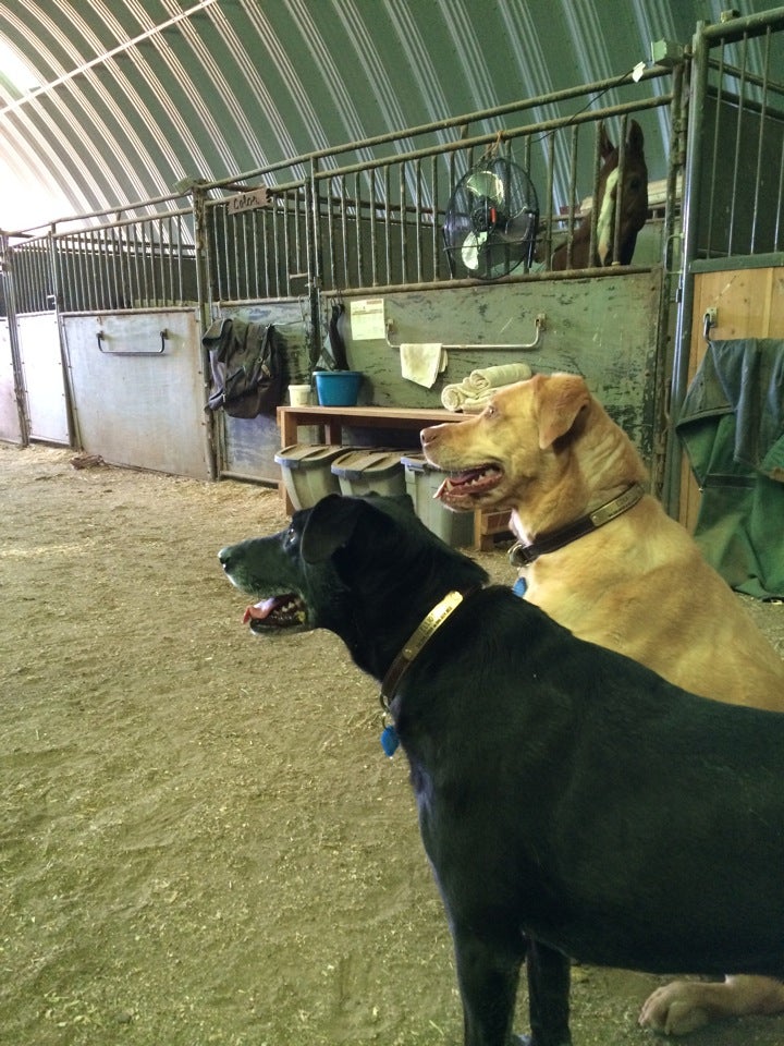 Hobby Horse Farms, 5220 County Road 20, Longmont, CO, Sports MapQuest