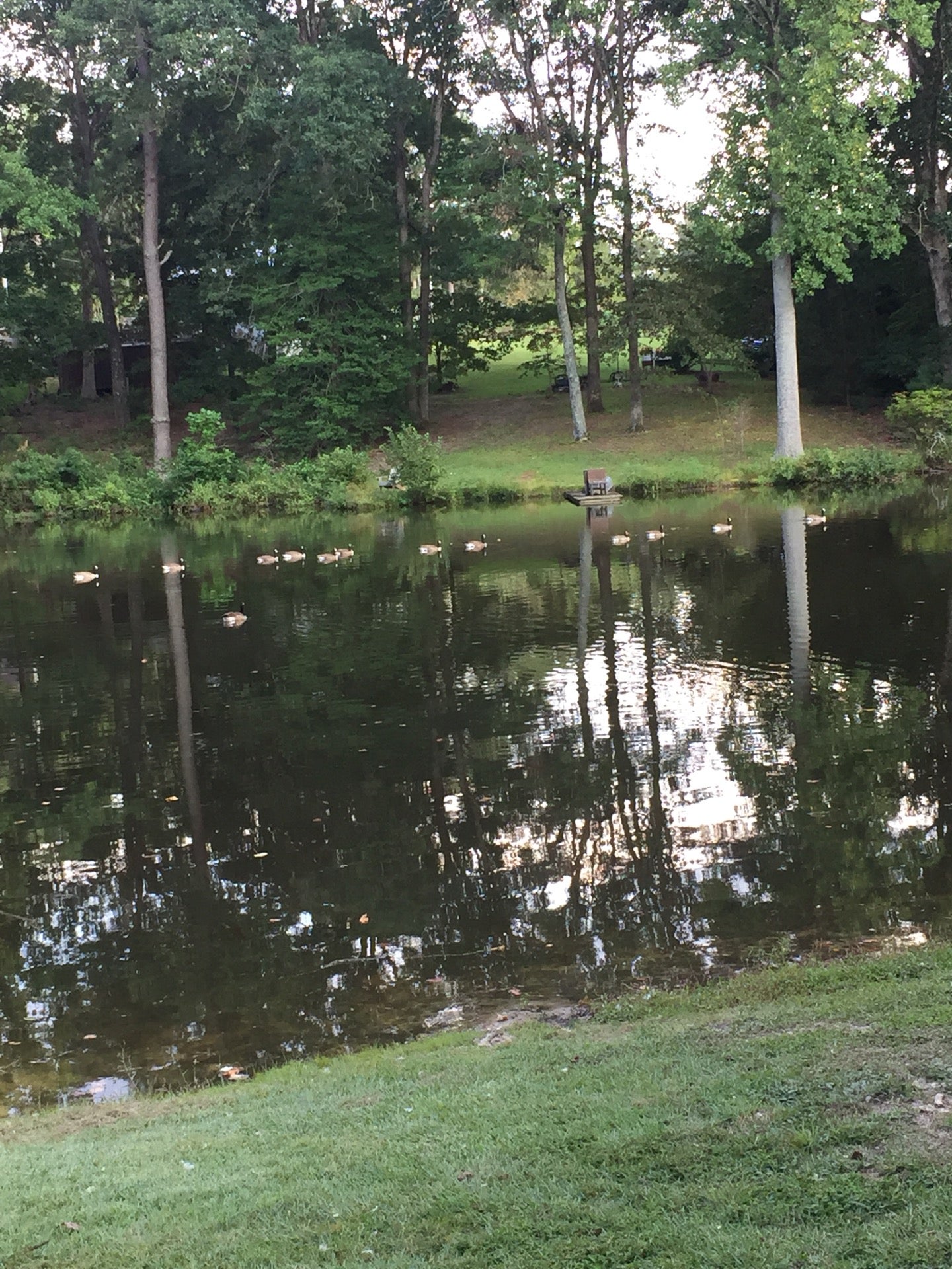 Gillis Hill Farm, 2701 Gillis Hill Rd, Fayetteville, NC, Farms MapQuest