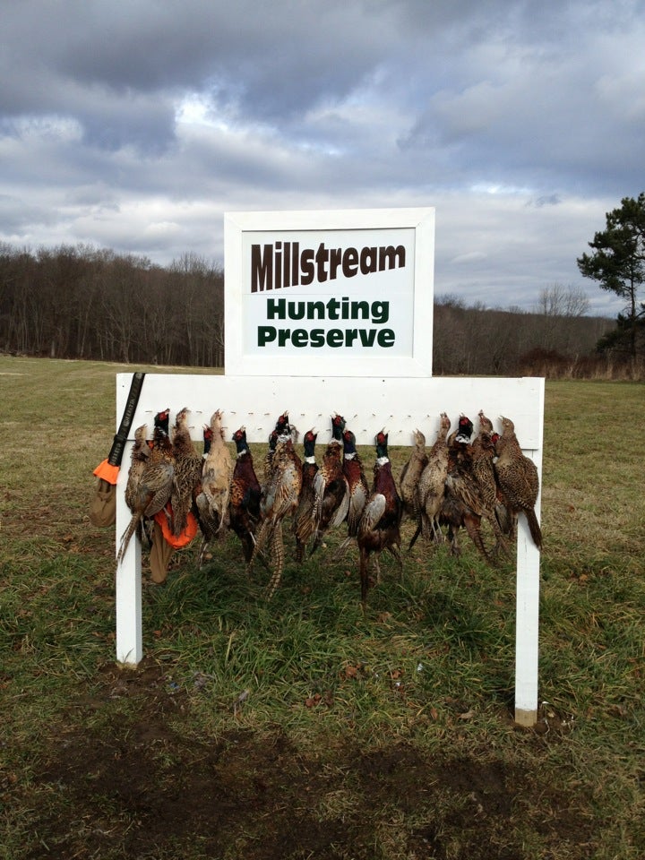 Millstream Hunting Preserve, 55 York Rd, Lebanon, CT, Sports MapQuest