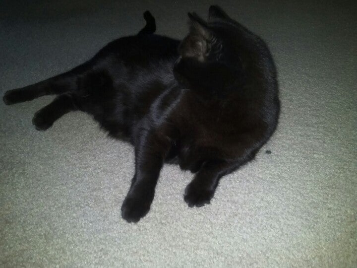 Gateway Apartment Homes, 2979 S Gate Dr, Hartford, WI, Residential