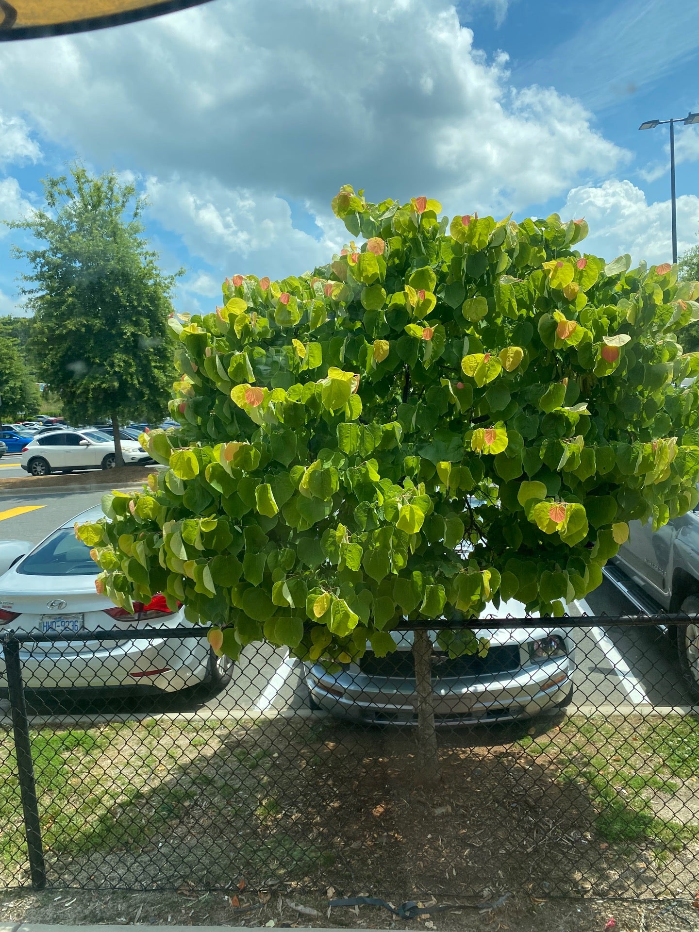 Amazon CLT2, Charlotte, NC, Distribution Centers MapQuest