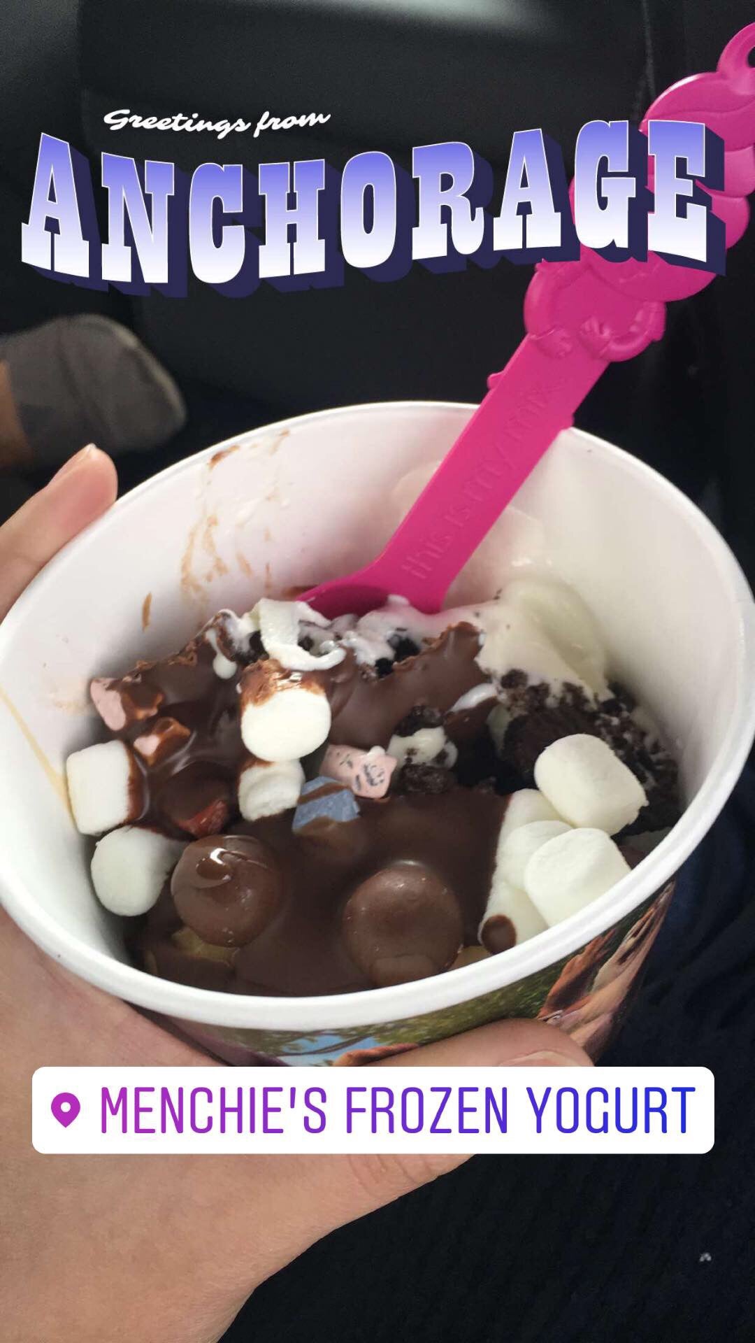 Frozen yogurt best sale anchorage