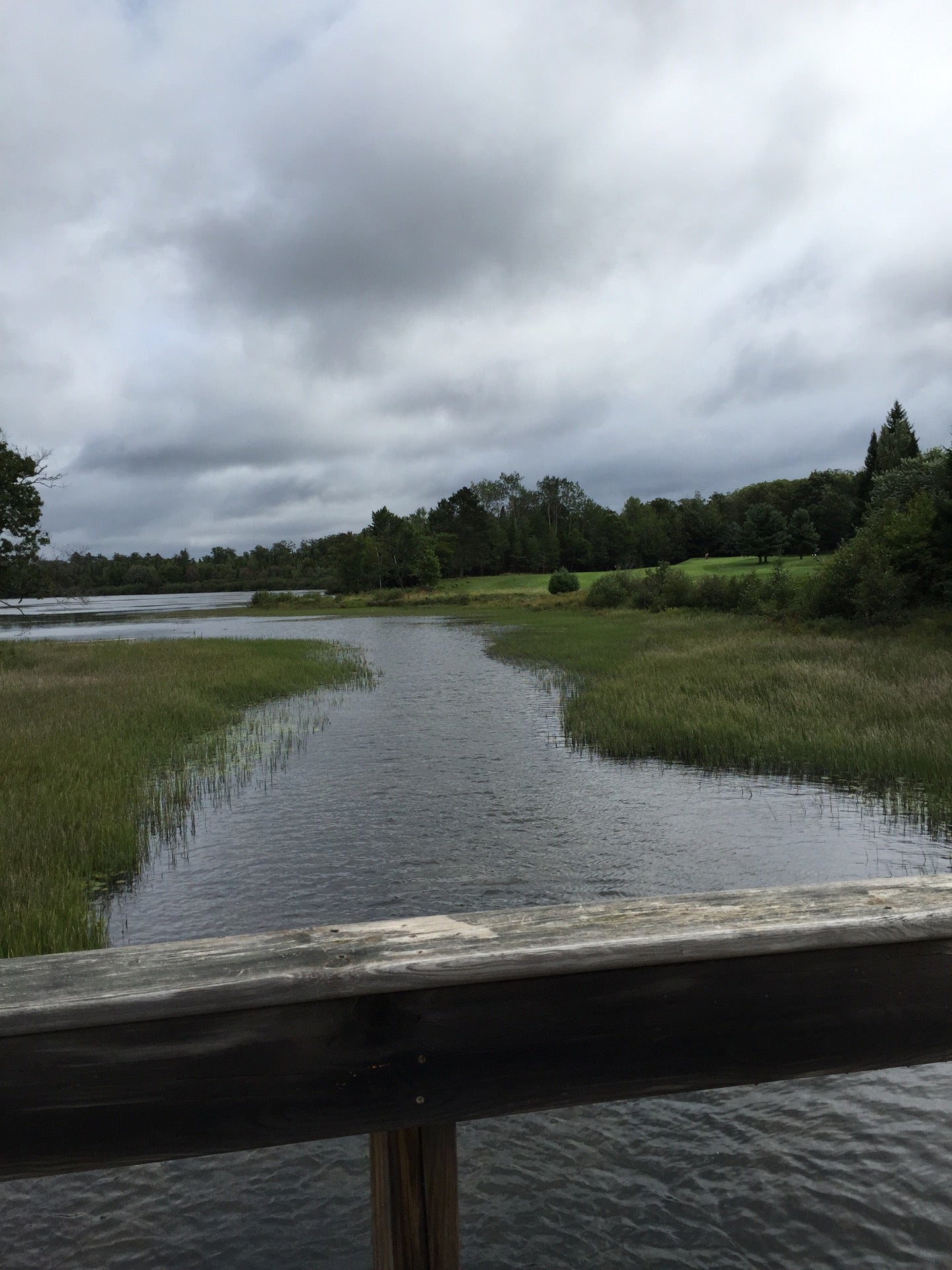 Trout Lake Golf Club, 3800 US Highway 51 N, Arbor Vitae, Town of