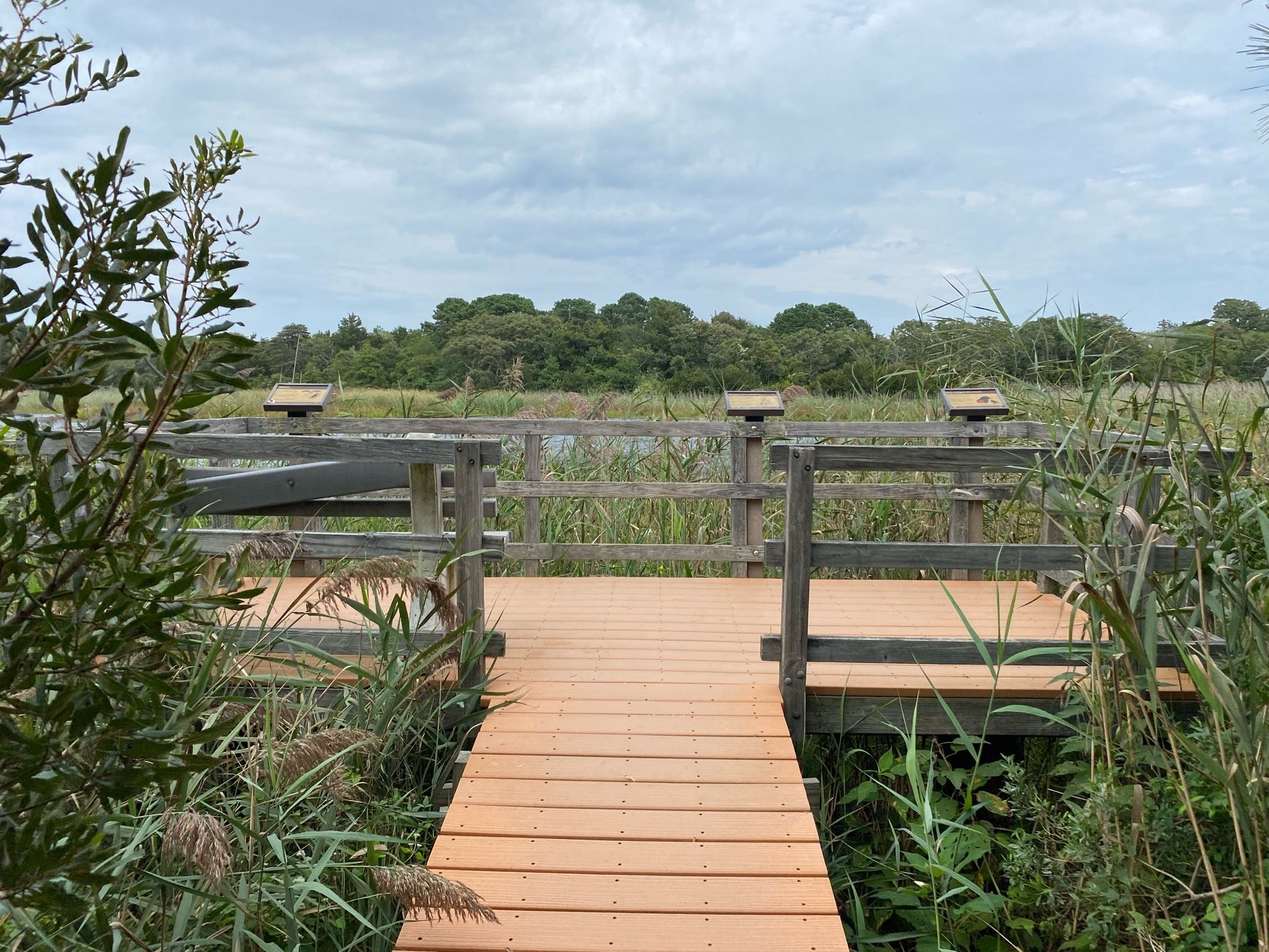 Cape May State Park Nature Trail, Cape May, NJ, Parks MapQuest