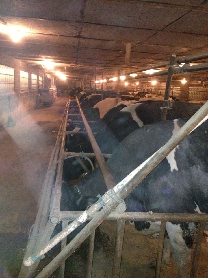 Rexroth Farms, 1742 Winters Rd, Windsor, PA MapQuest